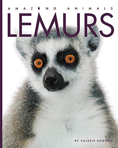 Valerie Bodden Lemurs 