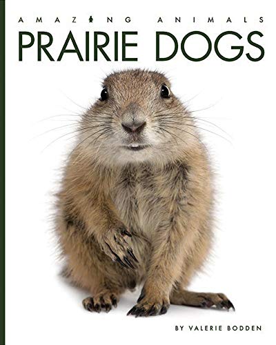 Valerie Bodden Prairie Dogs 
