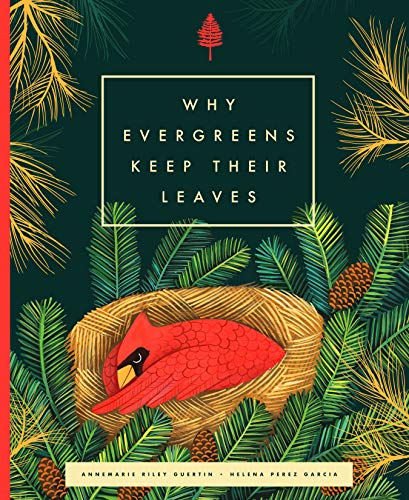 Annemarie Riley Guertin Why Evergreens Keep Their Leaves 