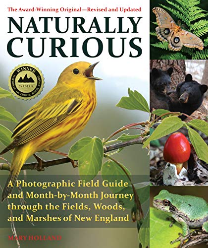 Mary Holland Naturally Curious A Photographic Field Guide And Month By Month Jou 