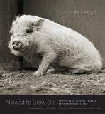 Isa Leshko Allowed To Grow Old Portraits Of Elderly Animals From Farm Sanctuarie 