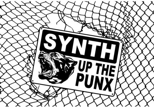 N8NOFACE/Synth Up The Punx@2x7"@.