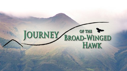 Willem Lange Journey Of The Broad Winged Hawk 