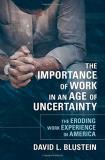 David L. Blustein The Importance Of Work In An Age Of Uncertainty The Eroding Work Experience In America 