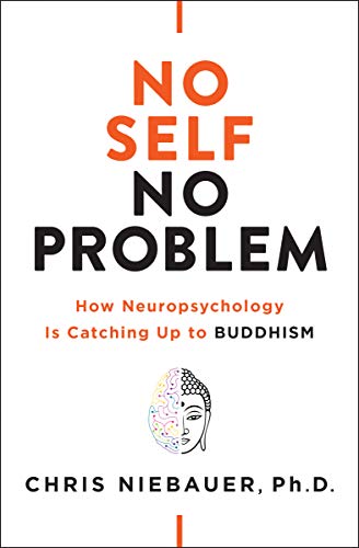Chris Niebauer No Self No Problem How Neuropsychology Is Catching Up To Buddhism 