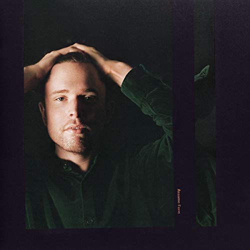 James Blake/Assume Form@2 LP