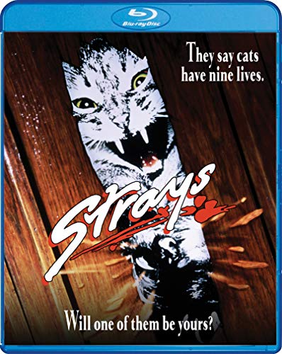 Strays (1991)/Quinlan/Busfield@Blu-Ray@R