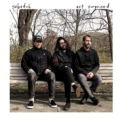 Sebadoh/Act Surprised