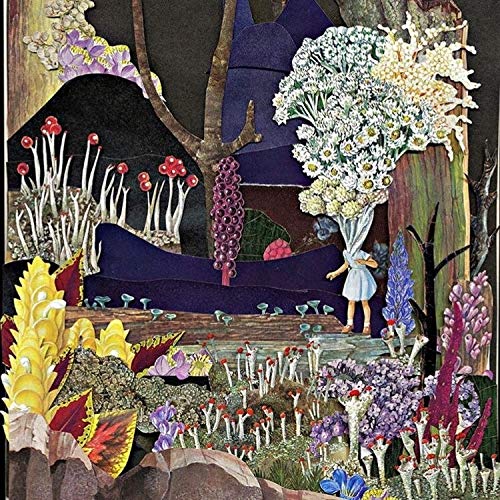 Psychedelic Porn Crumpets/And Now For The Whatchamacalli@.