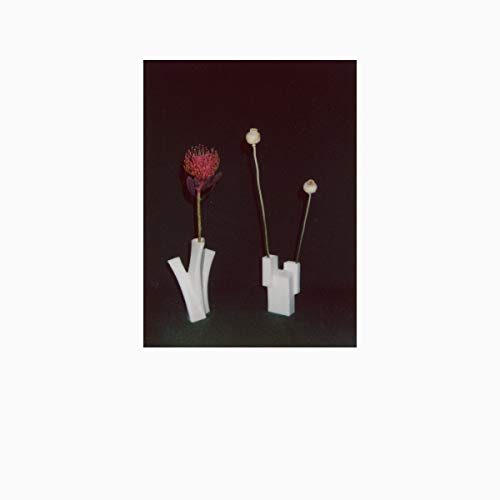 Felicia Atkinson/The Flower & The Vessel@2LP@2LP