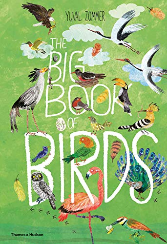 Yuval Zommer/The Big Book of Birds