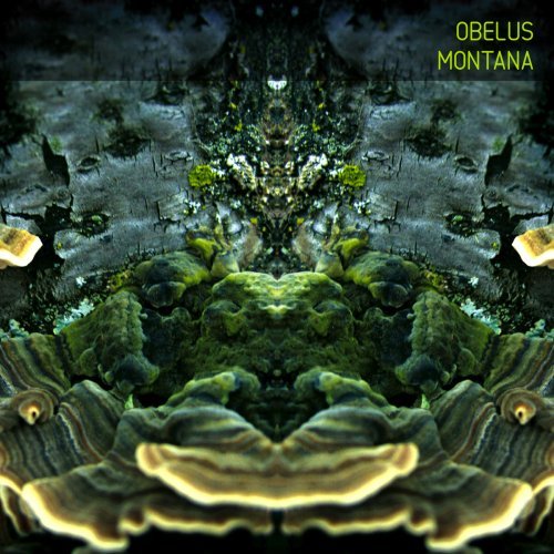 Obelus/Montana (Cr1309)@Limited Edition, Green