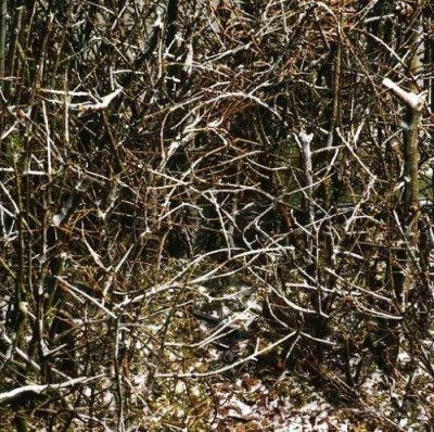 FALL HORSIE/DEVIL(E)DURGE