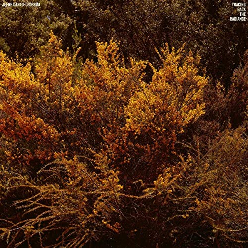 Jefre Cantu-Ledesma/Tracing Back The Radiance