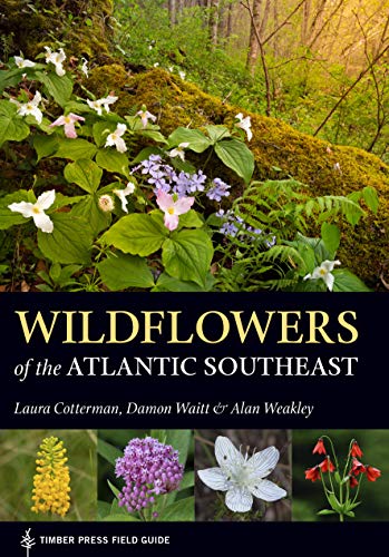 Laura Cotterman Wildflowers Of The Atlantic Southeast 