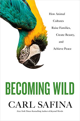 Carl Safina/Becoming Wild@ How Animal Cultures Raise Families, Create Beauty