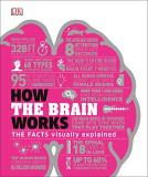 Dk How The Brain Works The Facts Visually Explained 