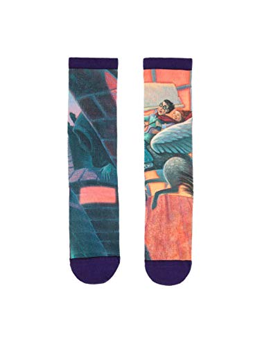 Socks/Harry Potter And The Prisoner Of Azkaban