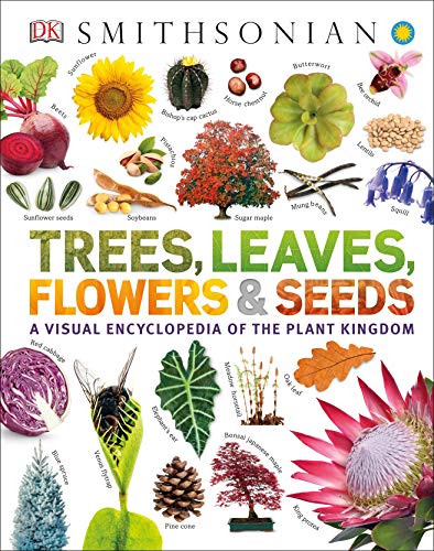 Dk/Trees, Leaves, Flowers and Seeds@ A Visual Encyclopedia of the Plant Kingdom