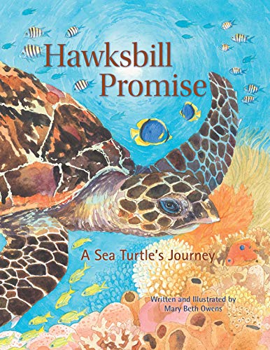 Mary Beth Owens Hawksbill Promise The Journey Of An Endangered Sea Turtle 