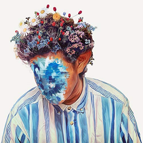 Hobo Johnson/The Fall of Hobo Johnson