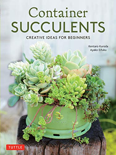 Kuroda/Container Succulents@ Creative Ideas for Beginners