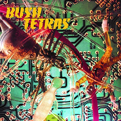 Bush Tertas/There Is A Hum / Seven Years@.
