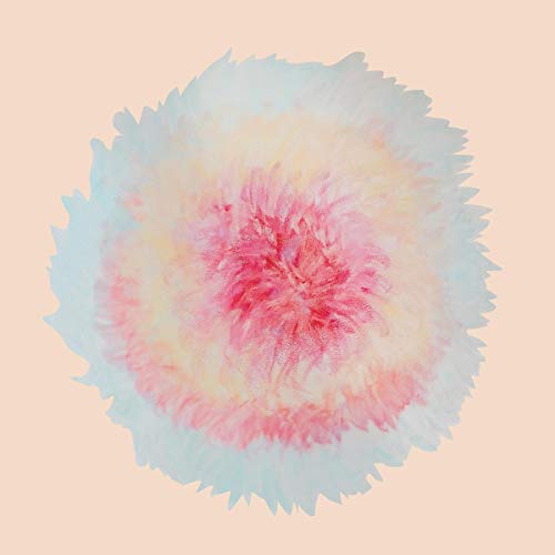 Signe Marie Rustad/When Words Flew Freely