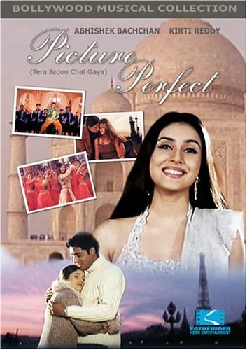 Picture Perfect/Picture Perfect@Nr