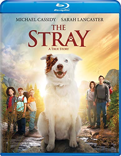 Stray/Lancaster/Cassidy@Blu-Ray@PG