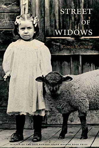 Cassie Fancher Street Of Widows 