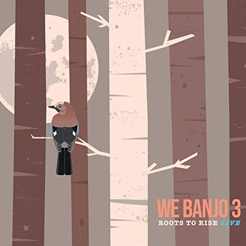 We Banjo 3/Roots To Rise Live