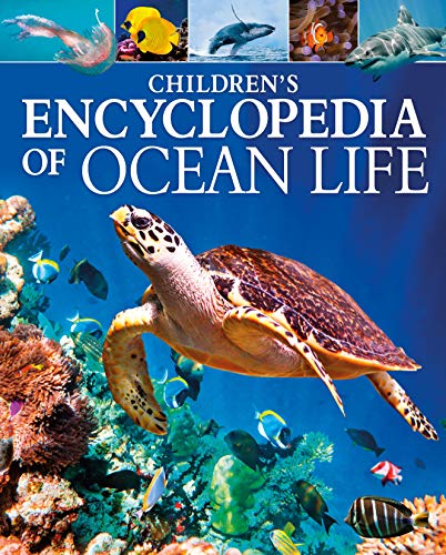 Claudia Martin Children's Encyclopedia Of Ocean Life A Deep Dive Into Our World's Oceans 