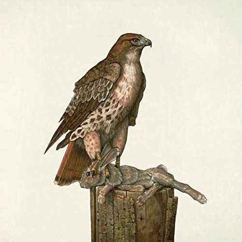 Federale/No Justice@w/ download card