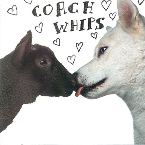 Coachwhips/Bangers Vs. Fuckers