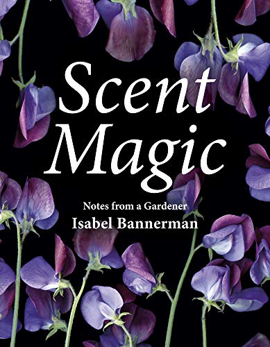 Isabel Bannerman Scent Magic Notes From A Gardener 