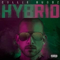Collie Buddz/Hybrid