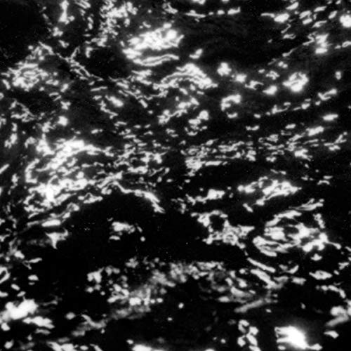 Grouper/AIA: Dream Loss