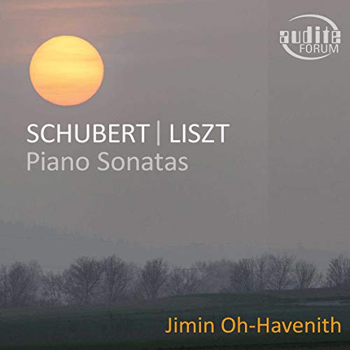 Liszt / Oh-Havenith/Piano Sonatas