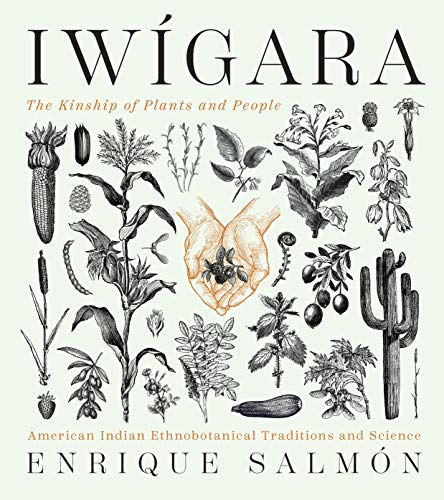 Enrique Salm?n Iw?gara American Indian Ethnobotanical Traditions And Sci 