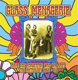 Glass Menagerie Have You Forgotten Who We Are 