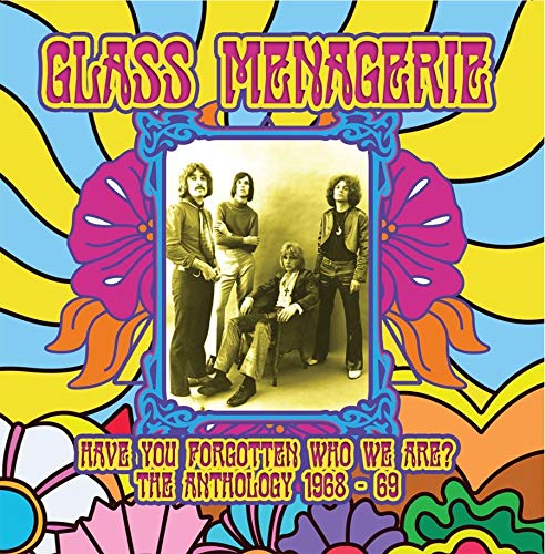 Glass Menagerie Have You Forgotten Who We Are 