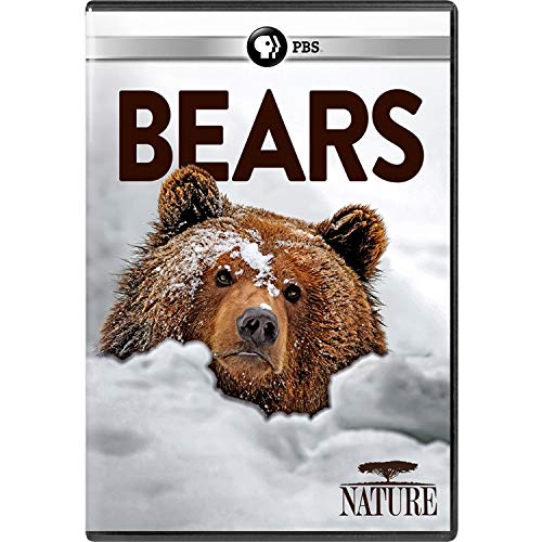 Nature Bears Nature Bears 
