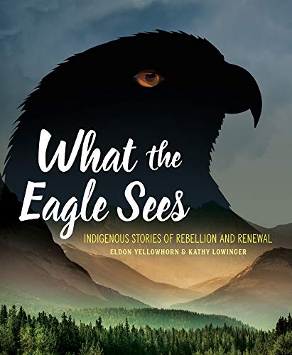 Eldon Yellowhorn What The Eagle Sees Indigenous Stories Of Rebellion And Renewal 