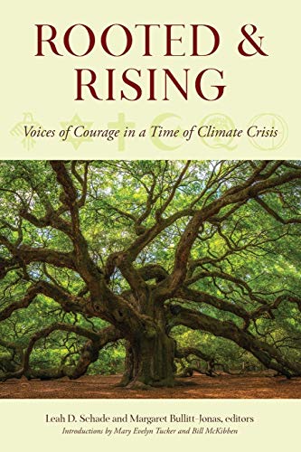 Leah D. Schade Rooted And Rising Voices Of Courage In A Time Of Climate Crisis 