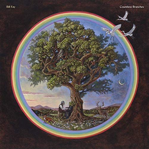 Bill Fay/Countless Branches@2 LP Deluxe Edition