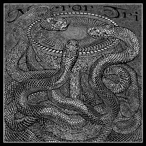 Maeror Tri/Venenum@CD/DVD