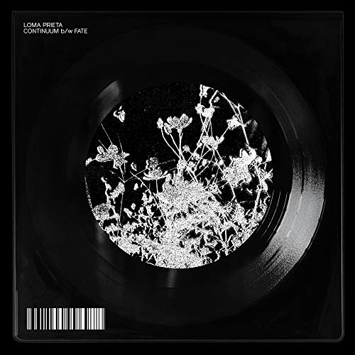 Loma Prieta/Continuum B/W Fate