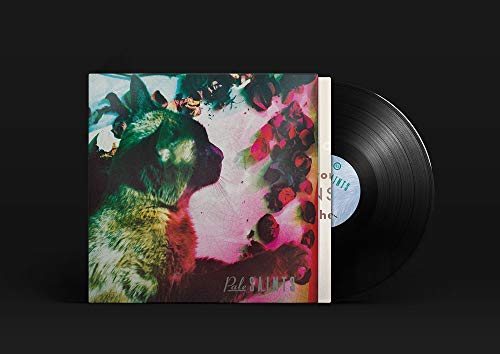 Pale Saints/The Comforts of Madness@30th Anniversary Reissue
