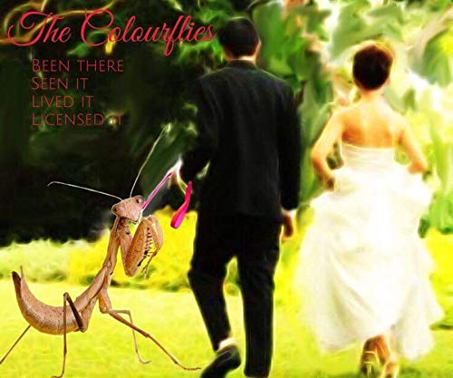 The Colourflies/Been There Seen It Lived It Li
